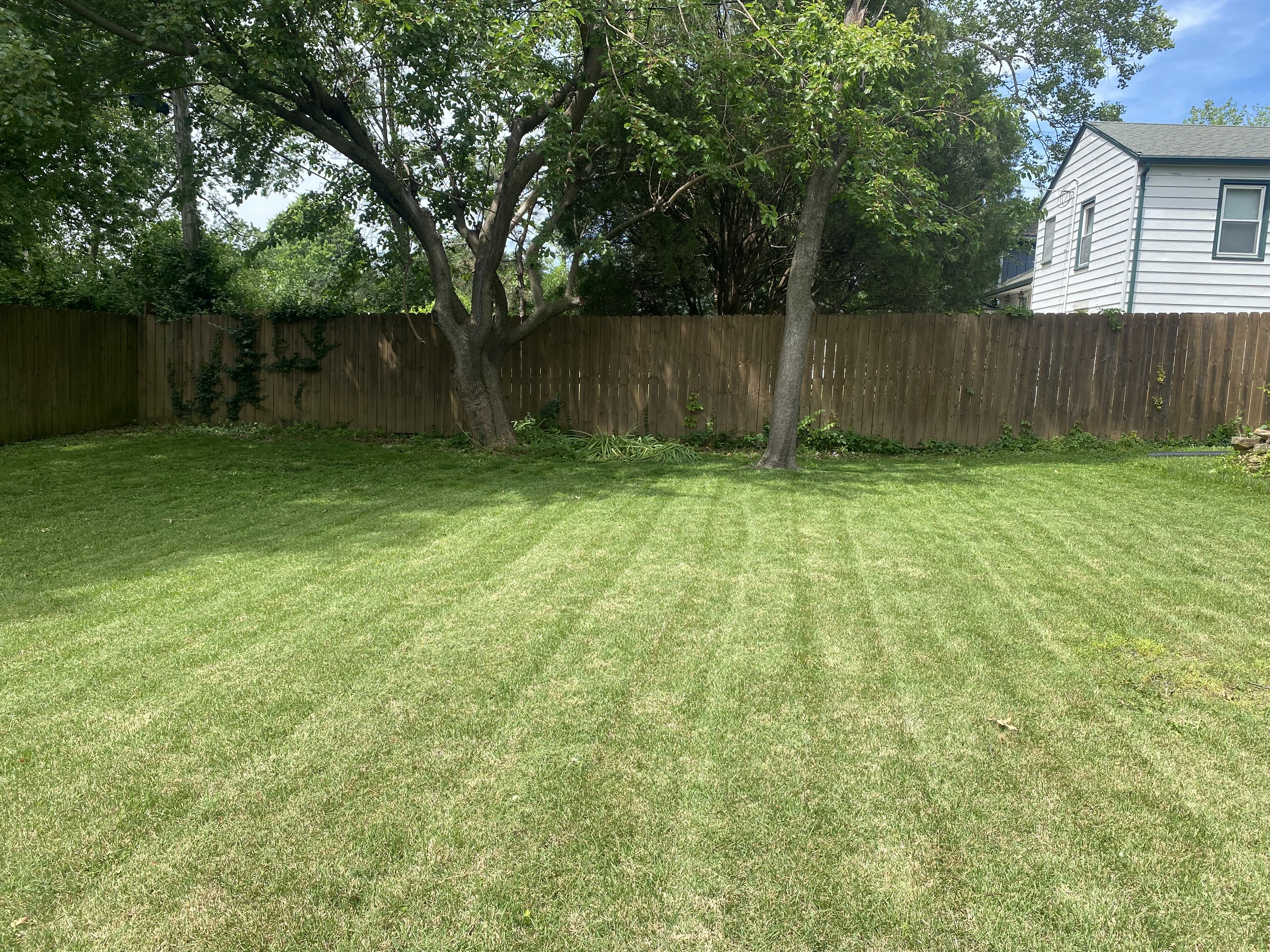 Before lawn service