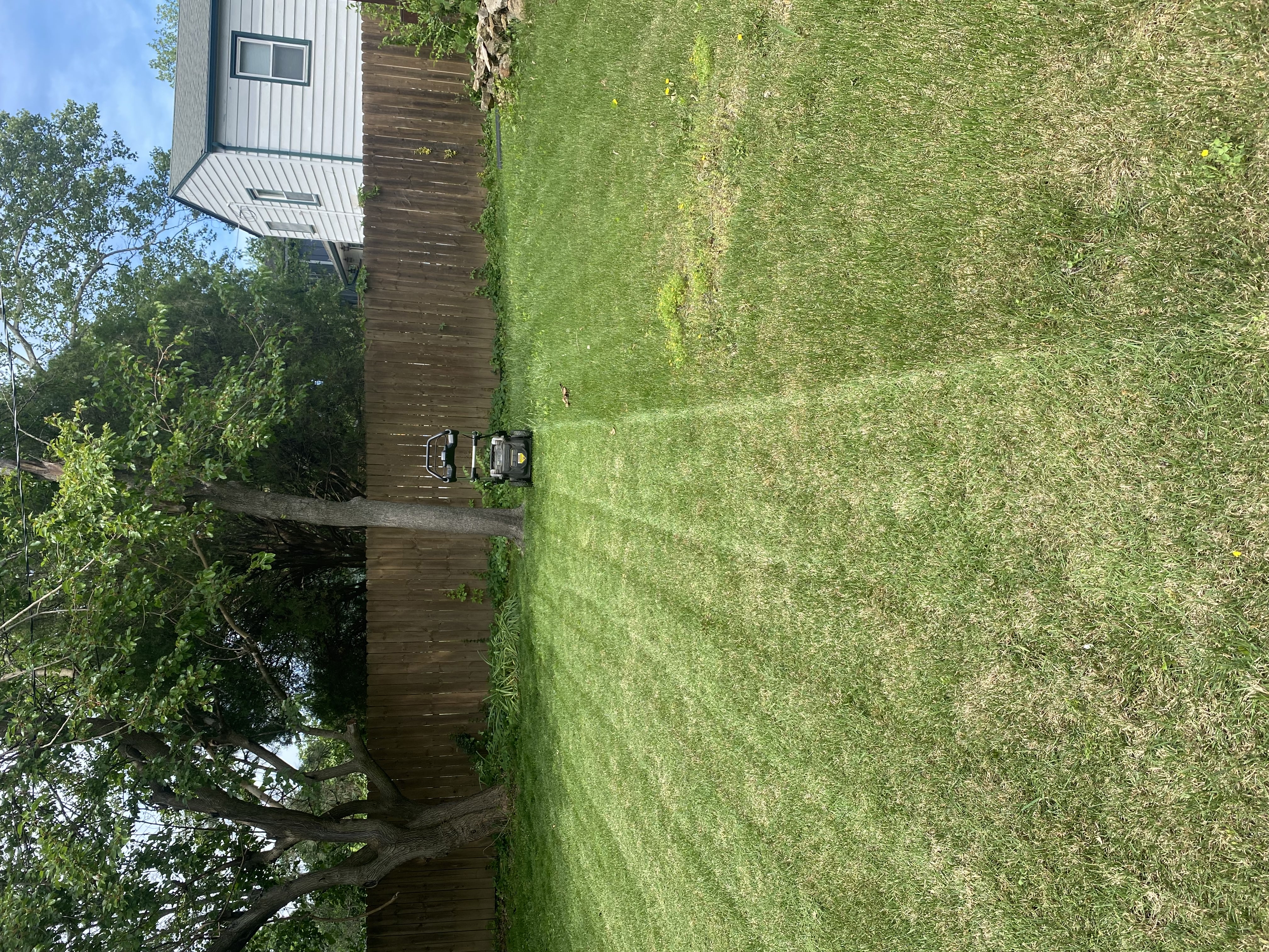 After lawn service